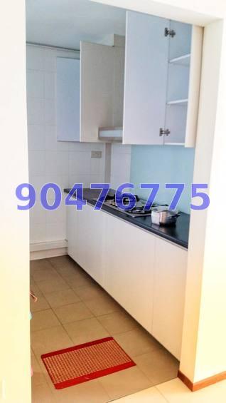 Blk 1C The Pinnacle@Duxton (Bukit Merah), HDB 5 Rooms #161330752